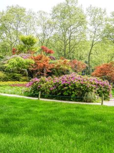 beautiful-green-park