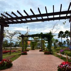 footpath-amidst-flowering-plants-against-sky