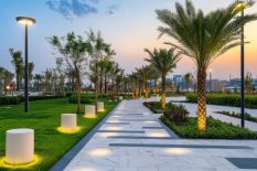 walkway-with-palm-trees-walkway-background