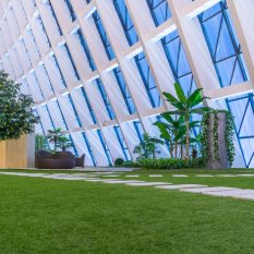 modern building reflects nature